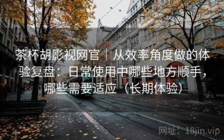 茶杯胡影视网官｜从效率角度做的体验复盘：日常使用中哪些地方顺手，哪些需要适应（长期体验）