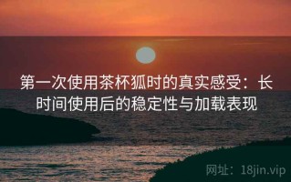 第一次使用茶杯狐时的真实感受：长时间使用后的稳定性与加载表现