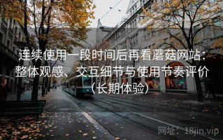 连续使用一段时间后再看蘑菇网站：整体观感、交互细节与使用节奏评价（长期体验）