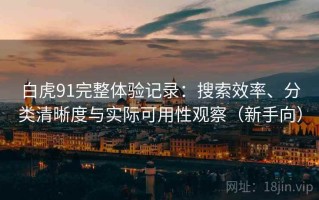 白虎91完整体验记录：搜索效率、分类清晰度与实际可用性观察（新手向）