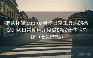 把茶杯狐 cupfox当作日常工具后的感受：从日常使用角度做的综合体验总结（长期体验）