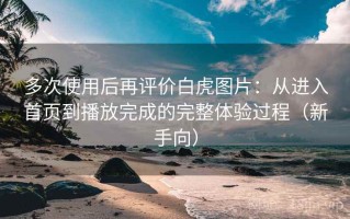 多次使用后再评价白虎图片：从进入首页到播放完成的完整体验过程（新手向）