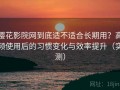 樱花影院网到底适不适合长期用？高频使用后的习惯变化与效率提升（实测）