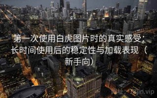 第一次使用白虎图片时的真实感受：长时间使用后的稳定性与加载表现（新手向）