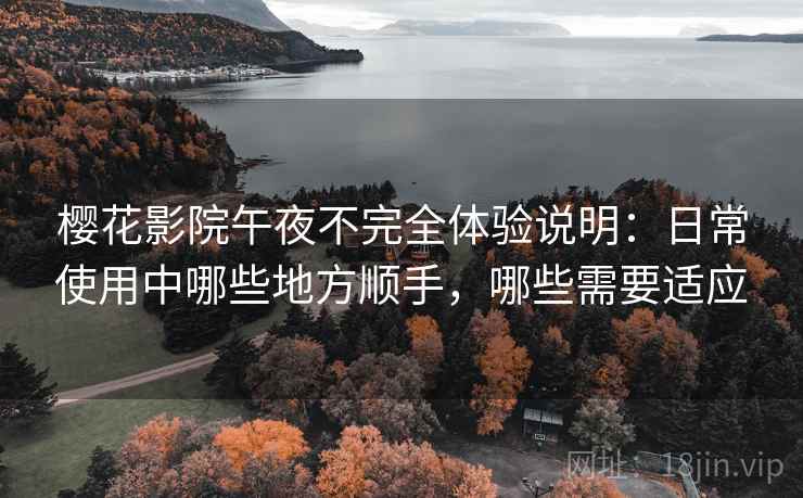 樱花影院午夜不完全体验说明：日常使用中哪些地方顺手，哪些需要适应