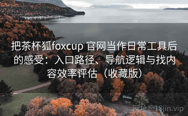 把茶杯狐foxcup 官网当作日常工具后的感受：入口路径、导航逻辑与找内容效率评估（收藏版）-第2张图片