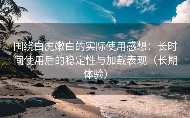 围绕白虎嫩白的实际使用感想:长时间使用后的稳定性与加载表现(长期体验)-第1张图片 围绕白虎嫩白的实际使用感想:长时间使用后的稳定性与加载表现(长期体验)-第1张图片