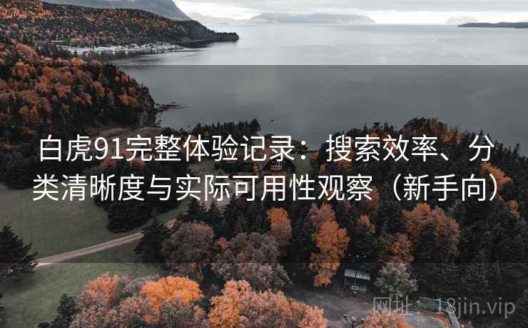 白虎91完整体验记录:搜索效率、分类清晰度与实际可用性观察(新手向)-第2张图片 白虎91完整体验记录:搜索效率、分类清晰度与实际可用性观察(新手向)-第2张图片