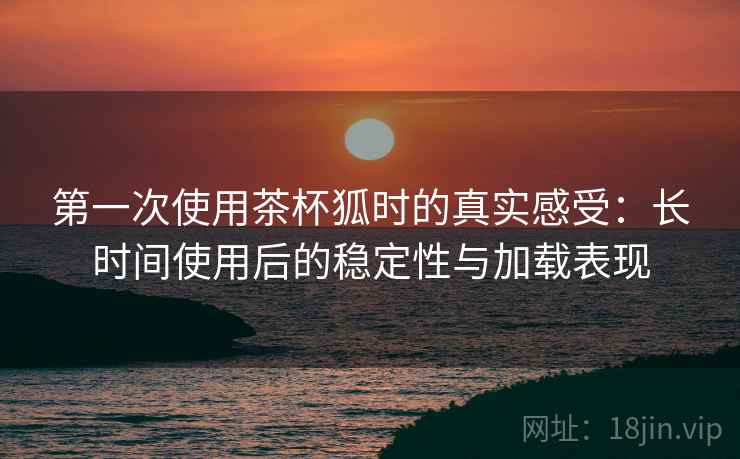 第一次使用茶杯狐时的真实感受：长时间使用后的稳定性与加载表现-第1张图片