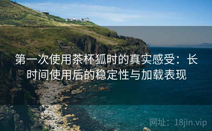 第一次使用茶杯狐时的真实感受：长时间使用后的稳定性与加载表现-第2张图片