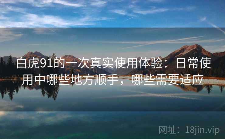 白虎91的一次真实使用体验:日常使用中哪些地方顺手,哪些需要适应-第1张图片 白虎91的一次真实使用体验:日常使用中哪些地方顺手,哪些需要适应-第1张图片