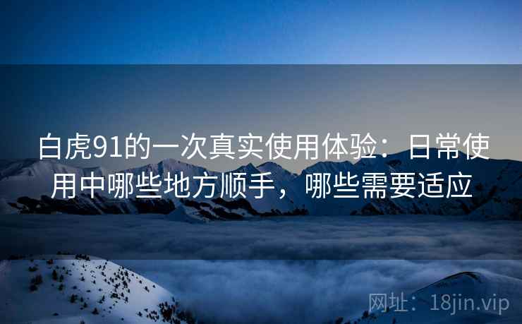 白虎91的一次真实使用体验:日常使用中哪些地方顺手,哪些需要适应-第2张图片 白虎91的一次真实使用体验:日常使用中哪些地方顺手,哪些需要适应-第2张图片